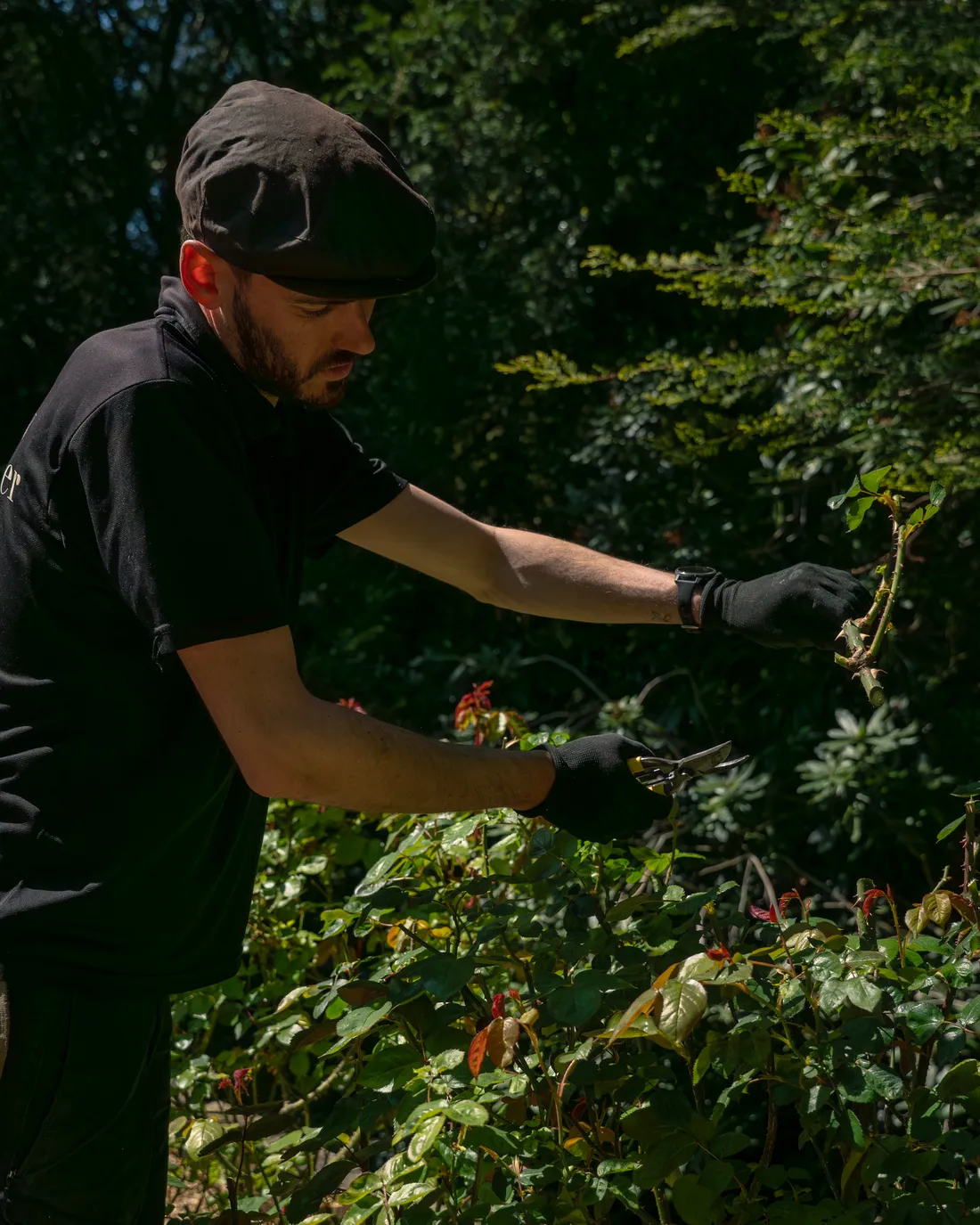 A Willow Alexander gardener at work