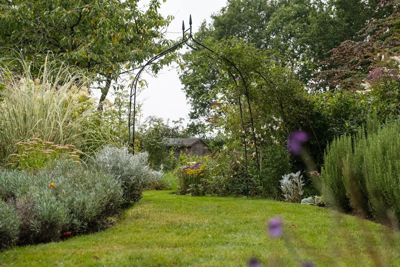 A Willow Alexander designed garden with planting and a paved terrace